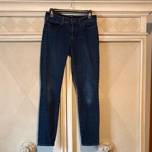 Banana Republic Dark Blue Skinny Jeans